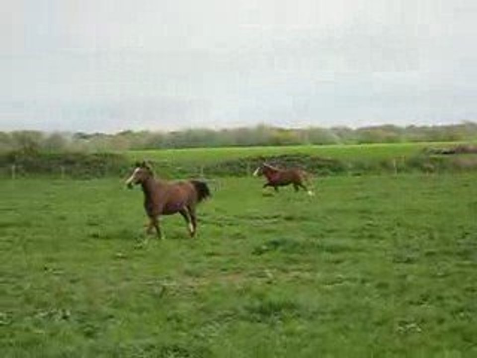 Socrate nouvel horizon...