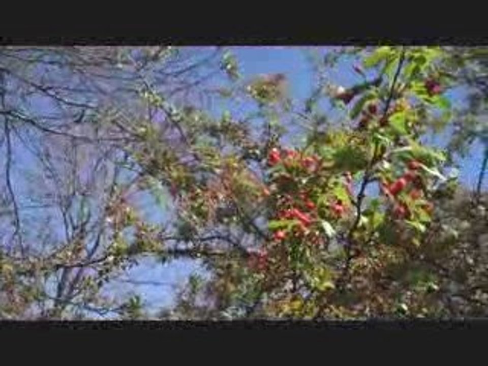 Entrepreneurs Should Enjoy Beauty Every Day