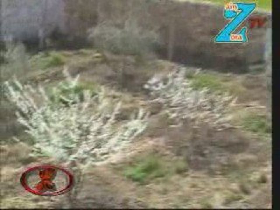 Layla chakir salak salak by studio ainzora