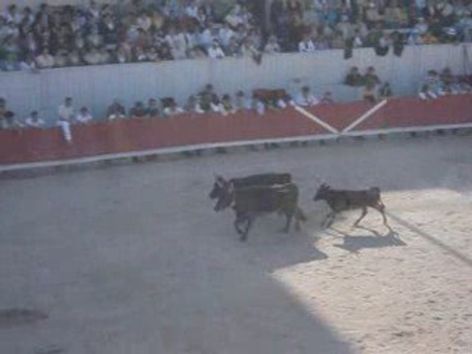 Arrivée des simbeus aux Arénes