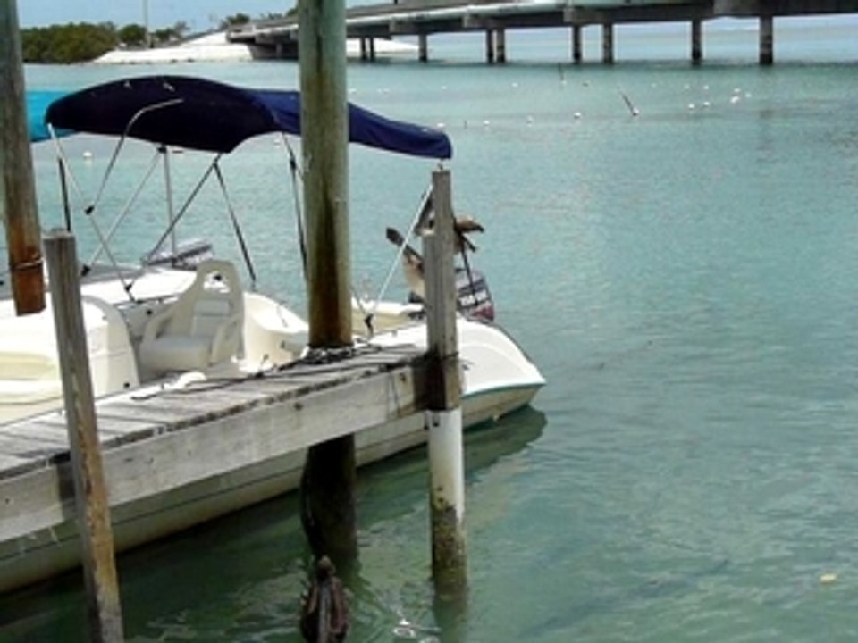At Robbie's Marina