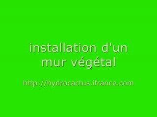 kit mur végétal
