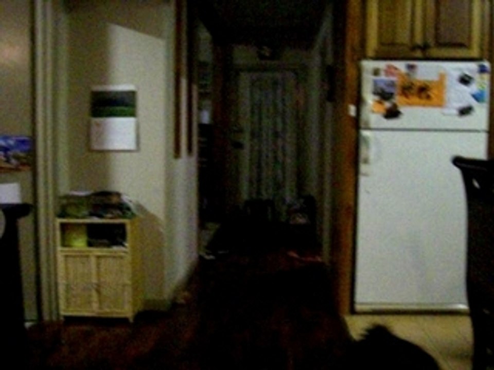 my cousin goes crazy: karate edition