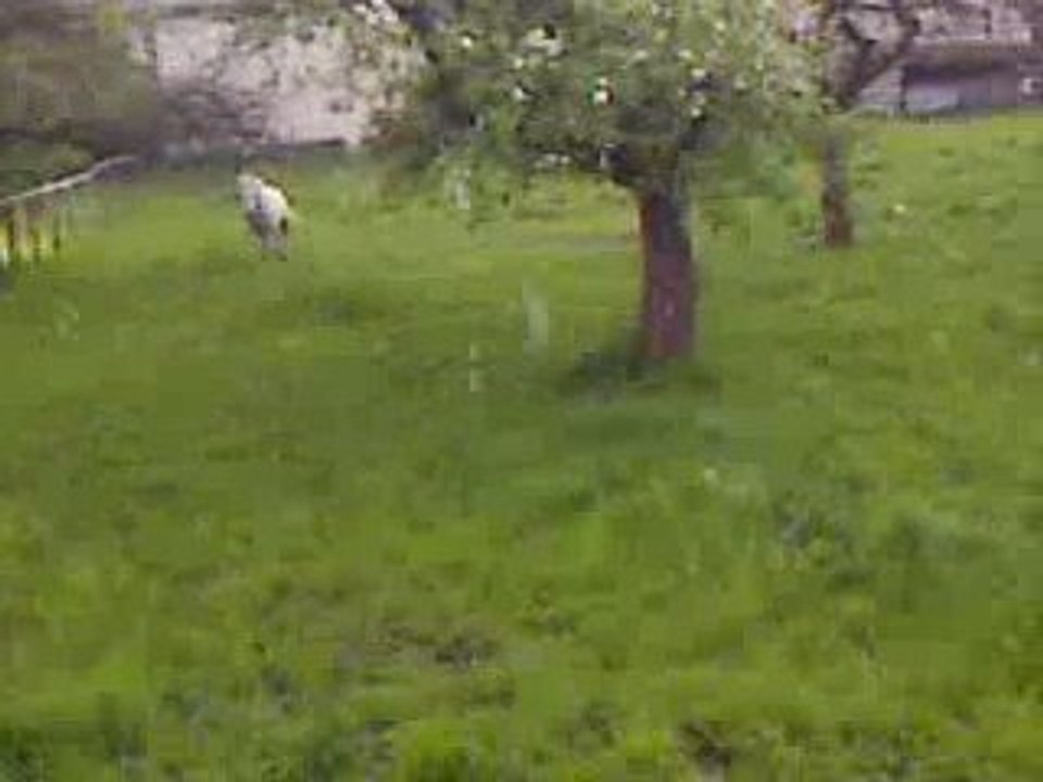 PIC04516