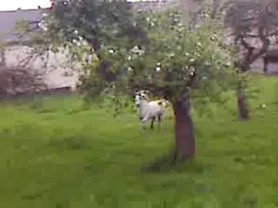 PIC04515