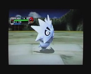 Videotest Pokemon xd partie 2 (Gamecube)