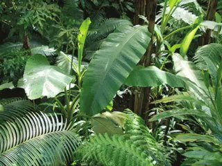 Somewhere Only We Know - Kena Grey