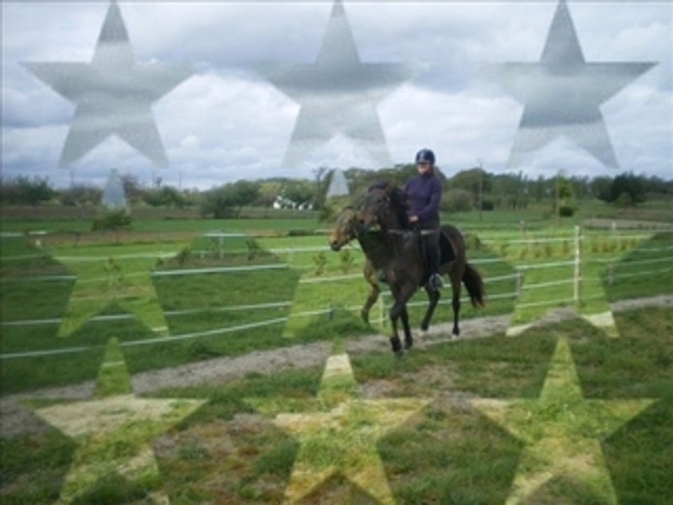 Toffy dans la carriere