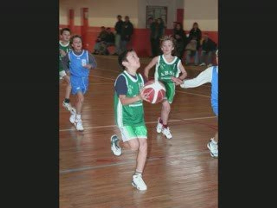 POUSSINS1-COURRENSAN