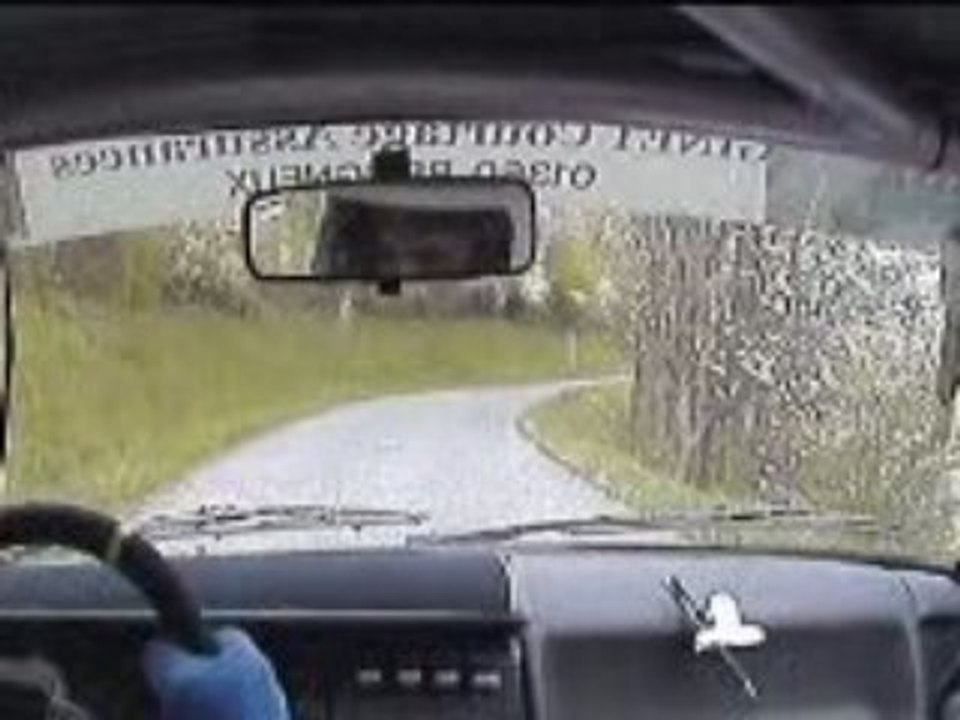 Rallye Lyon Charbonnière 2009 - ES 4 Les ARDILLATS - CHIROUB