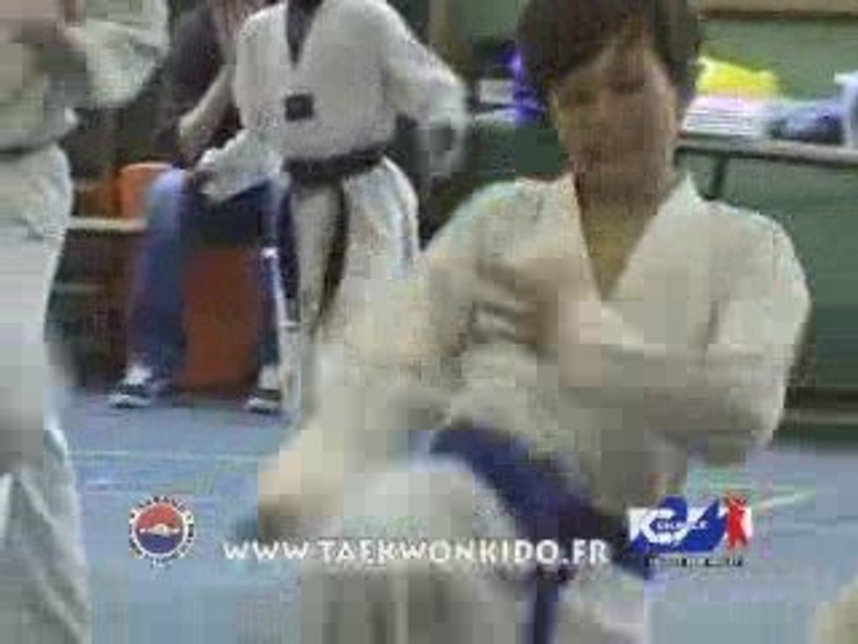 Stage Taekwondo Grands Maître Park et Maître Kwon