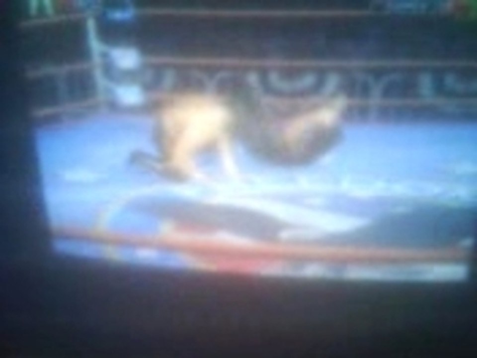catch tna impact