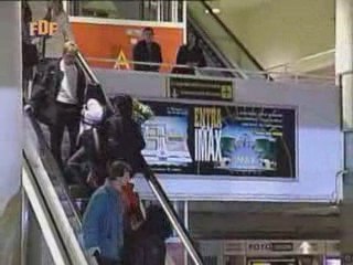 compañeros 4x10 1/4