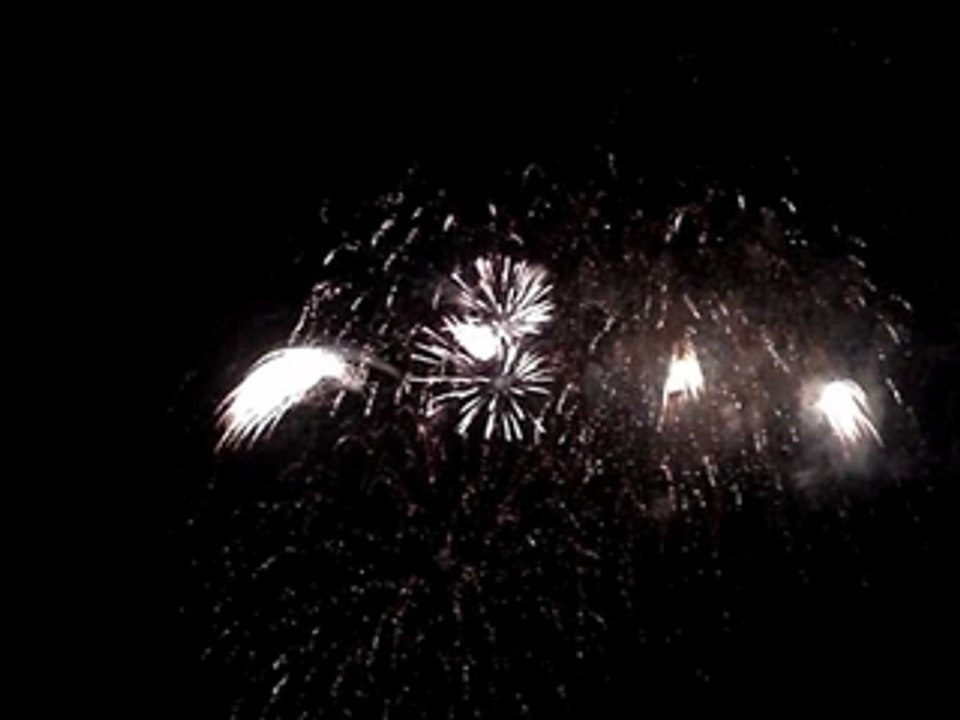 Feux_Artifices_Janv2009_OK