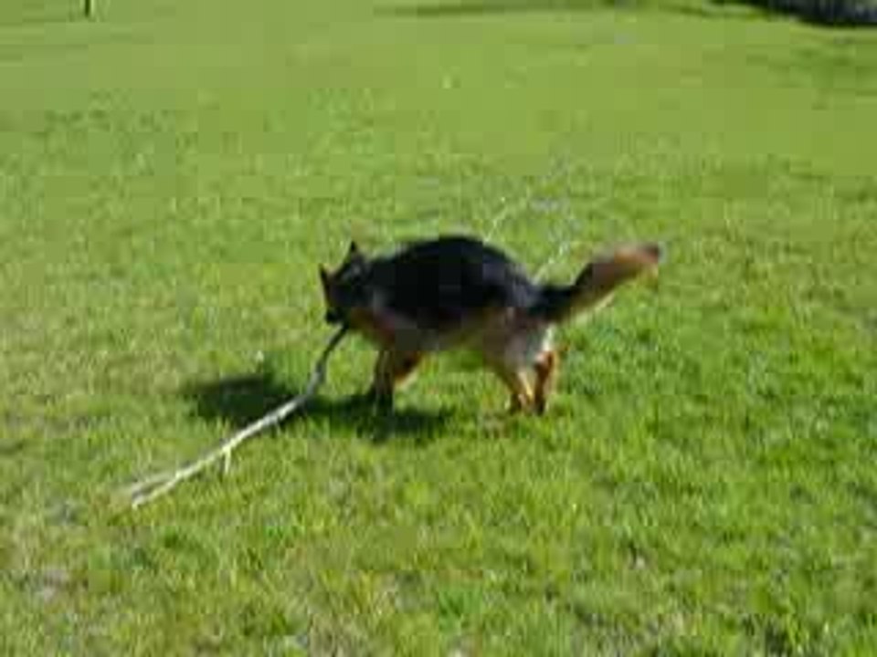 2009.05.01 011