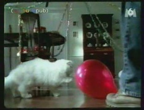 Pub humour mauvaise haleine