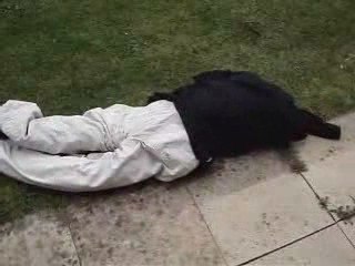 Man Thown Out Rollercoaster in Horrific Accident