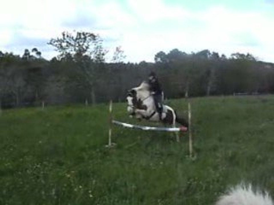 Pirouette taxi