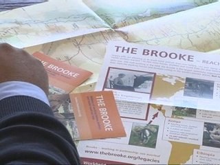 Life's no beach for holiday donkeys