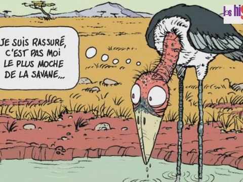 Interview François Roussel - Des bêtes - MaxMilo Jeunesse