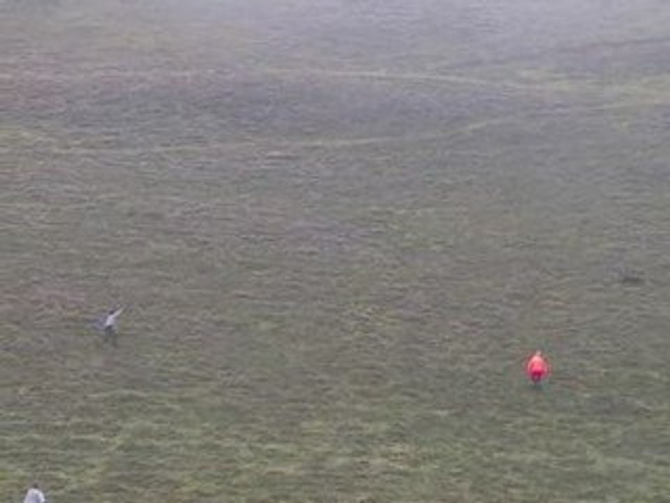 Concours Field trial de Montagne - Barrage CACIT  Soulor