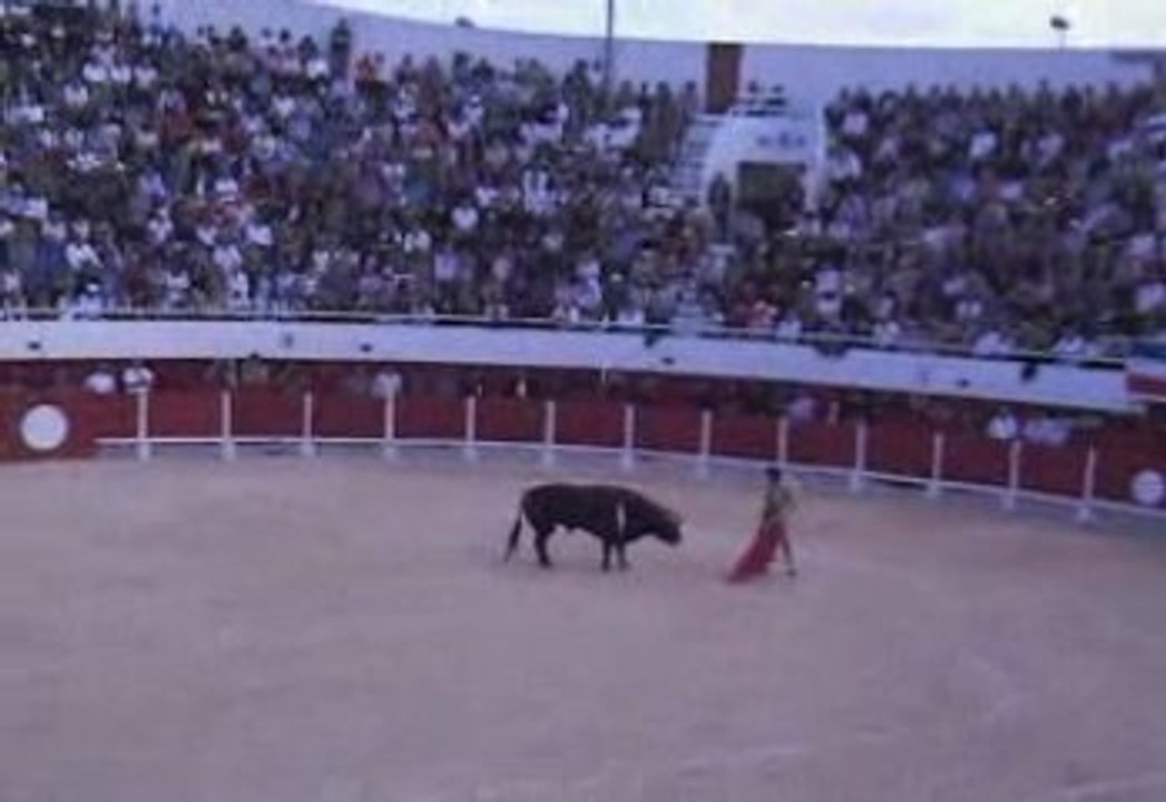 Enrique PONCE Palavas