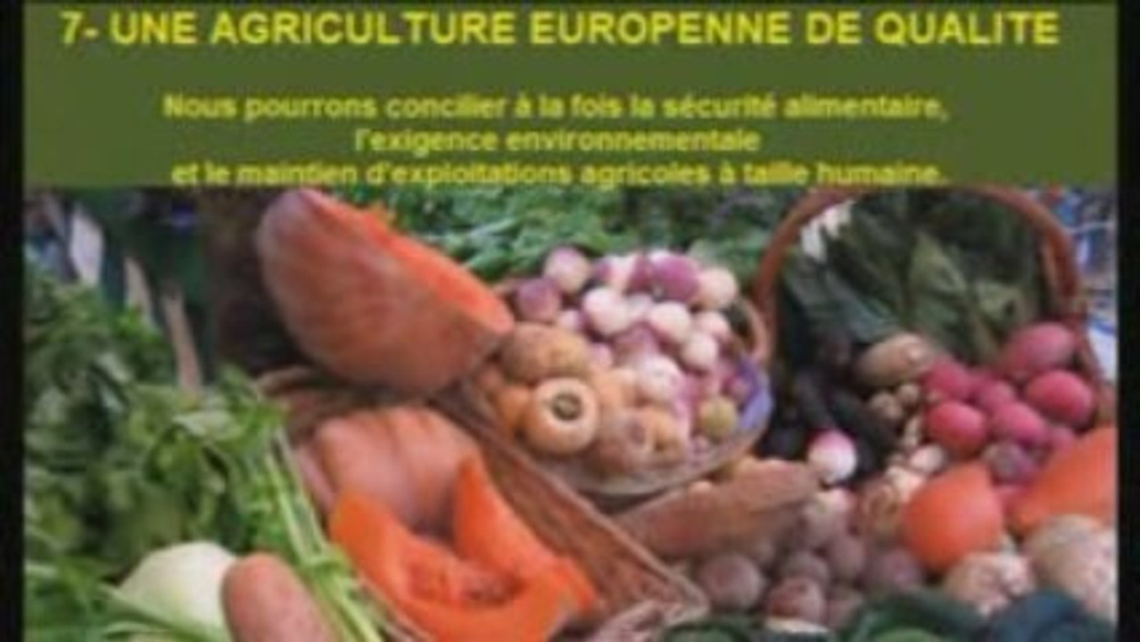 Elections Européennes : Programme du MoDem