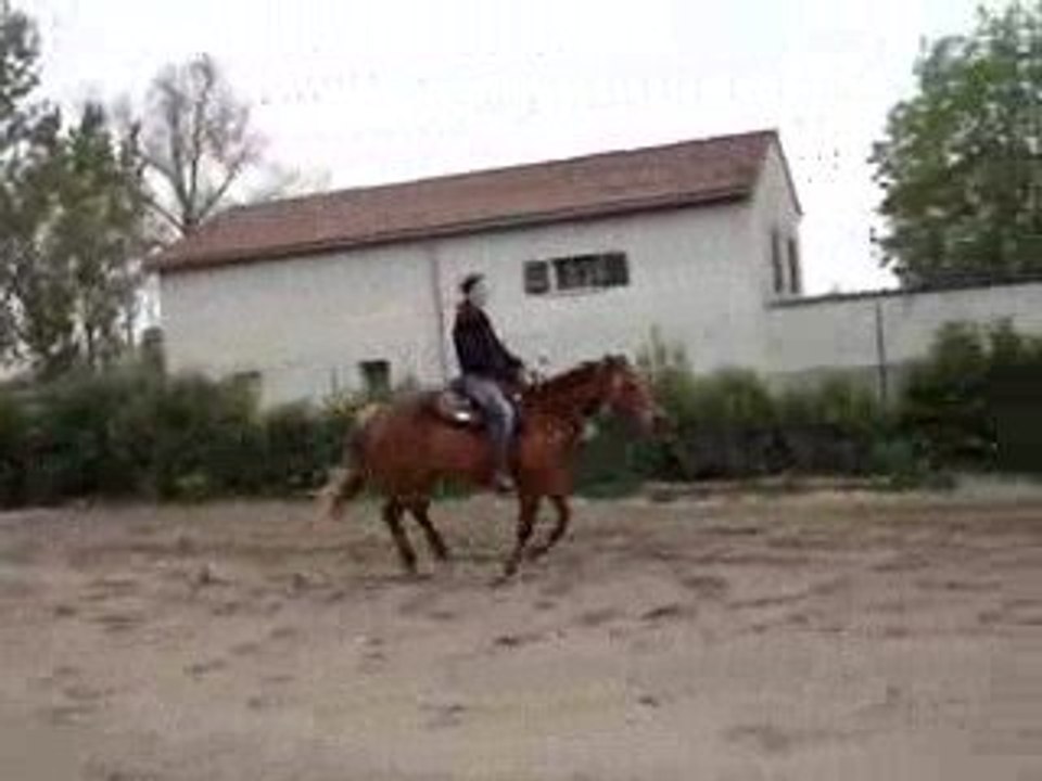 1er mai galop à droite