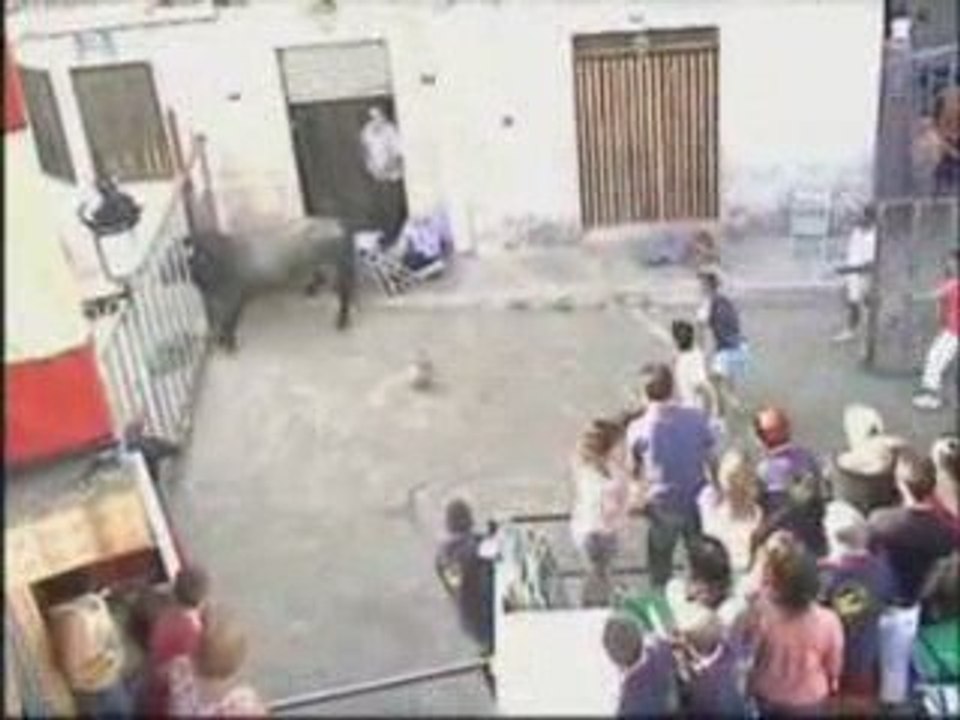 Alegreplus
