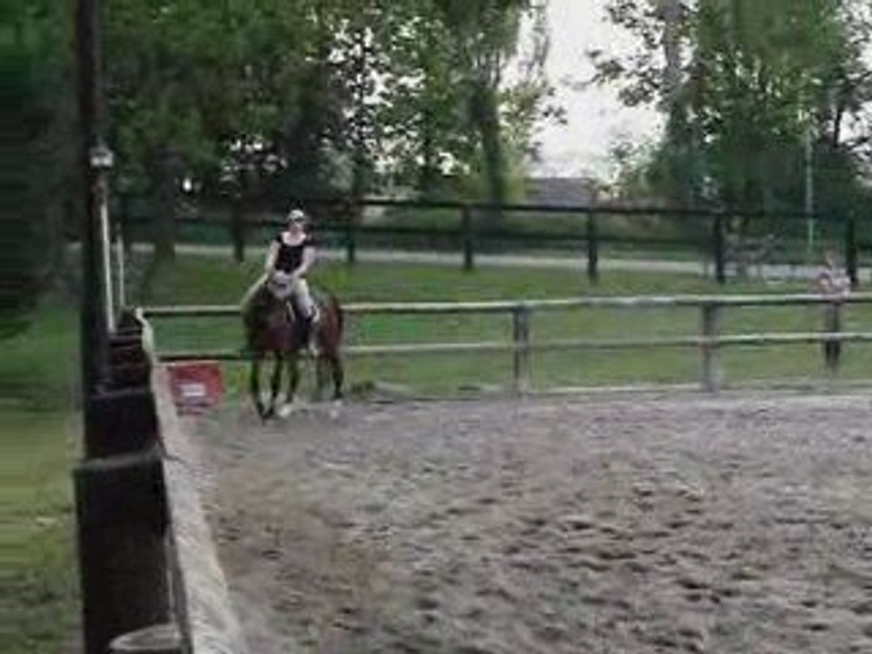 Cour de dressage  du 1er mai 2009