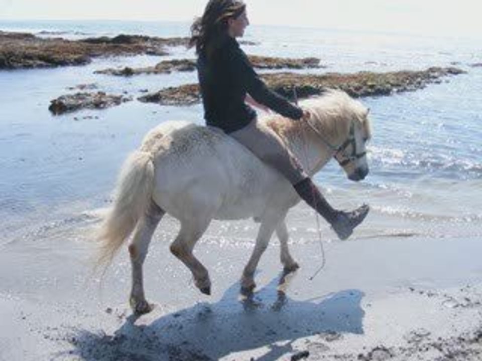 Playa =D