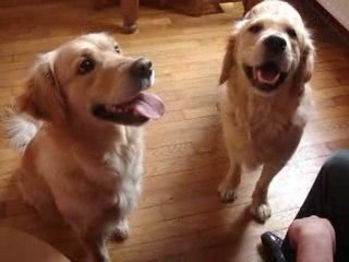 Belly Baika Askott Avril 09