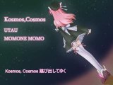 Kosmos,Cosmos - Momone Momo