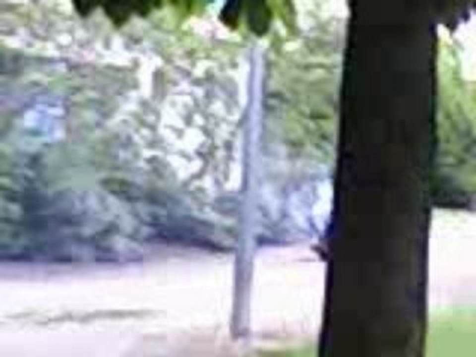 Vidéo-0001J