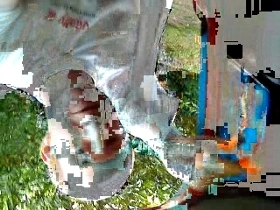 MOV00042