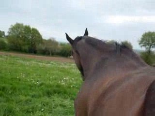 Miami mai2009Justière J1 063