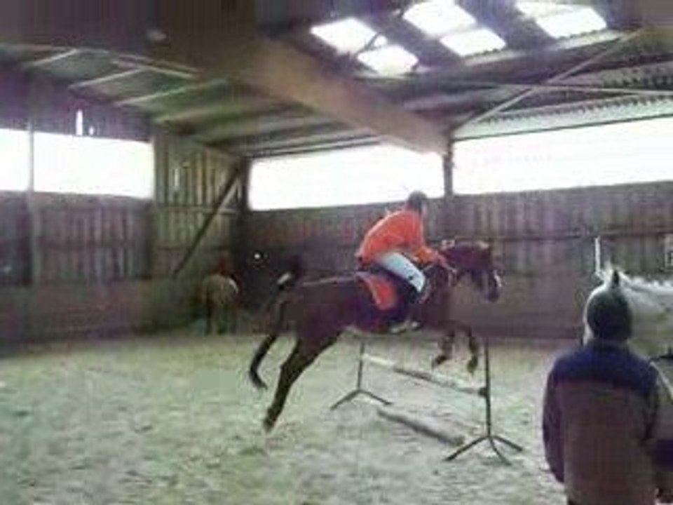 poney