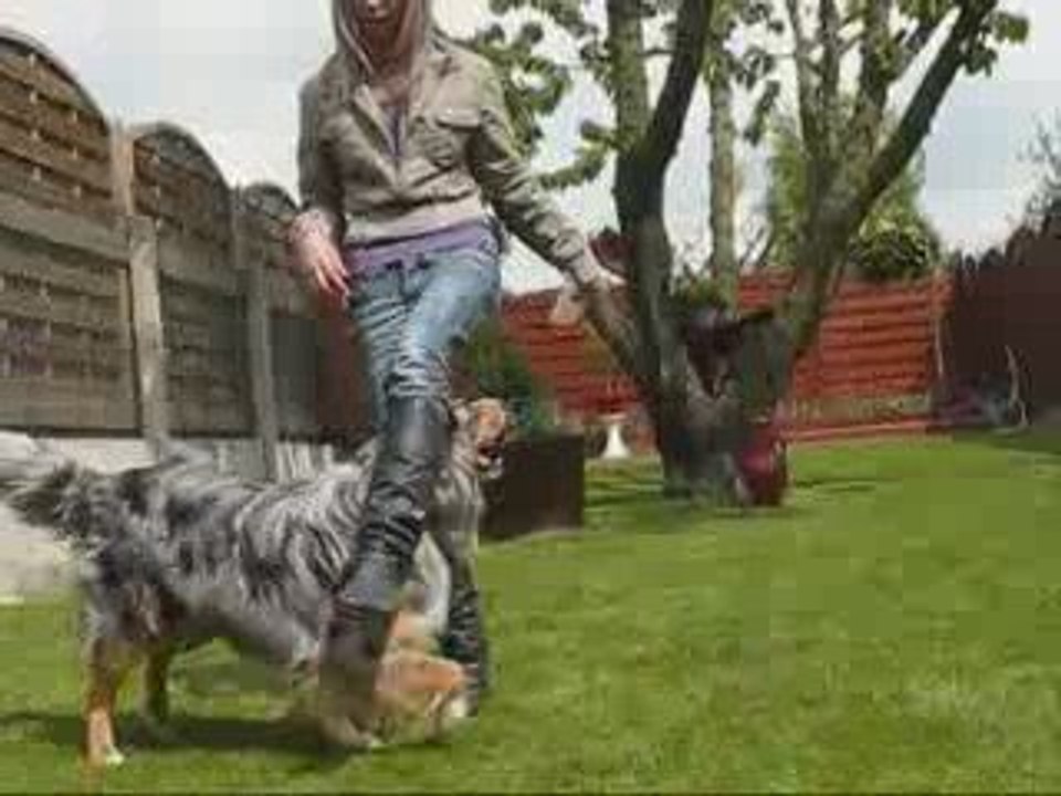 Cowboy OBR sans nourriture - Avril 2oo9