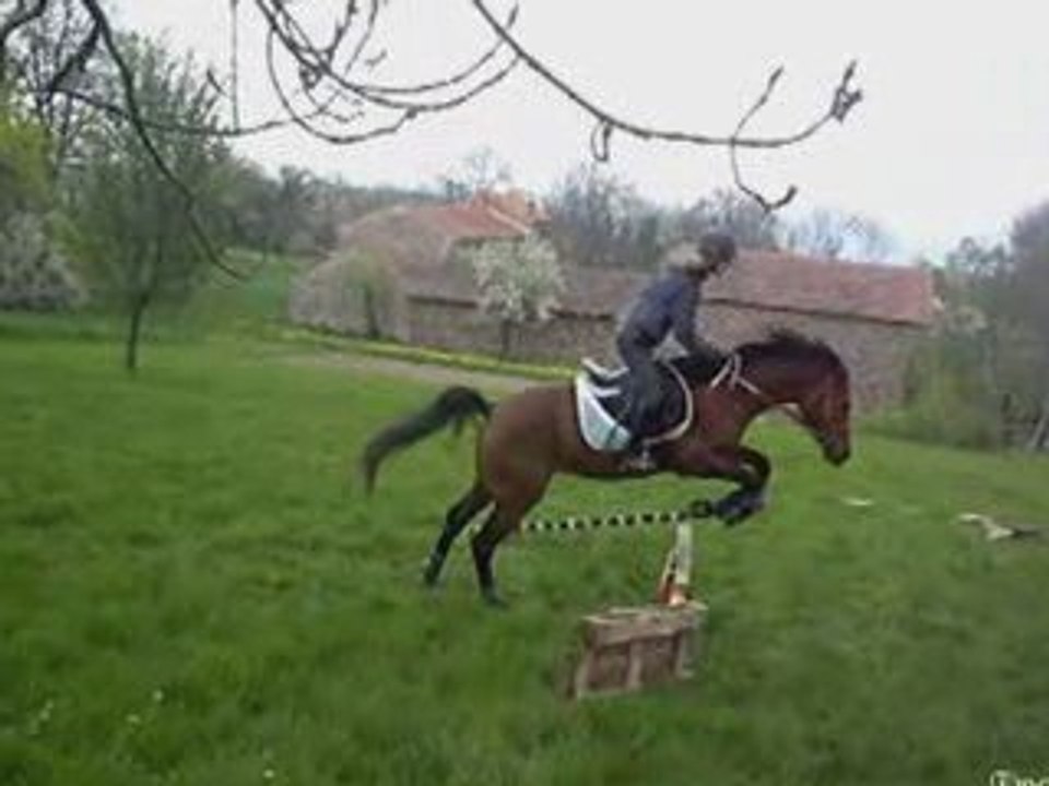 Séance cso nooriah et oo'hiyée