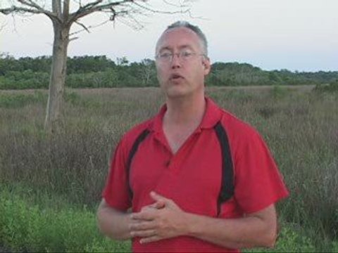 Events and Festivals Florida 1809