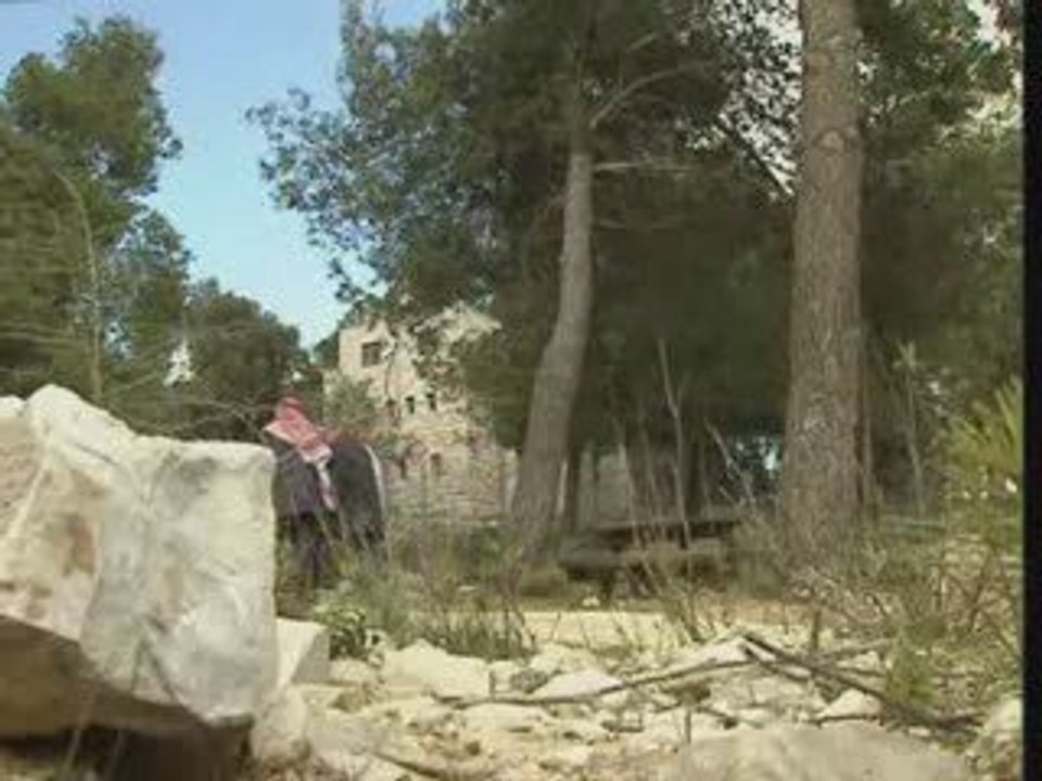 Palestine 1948