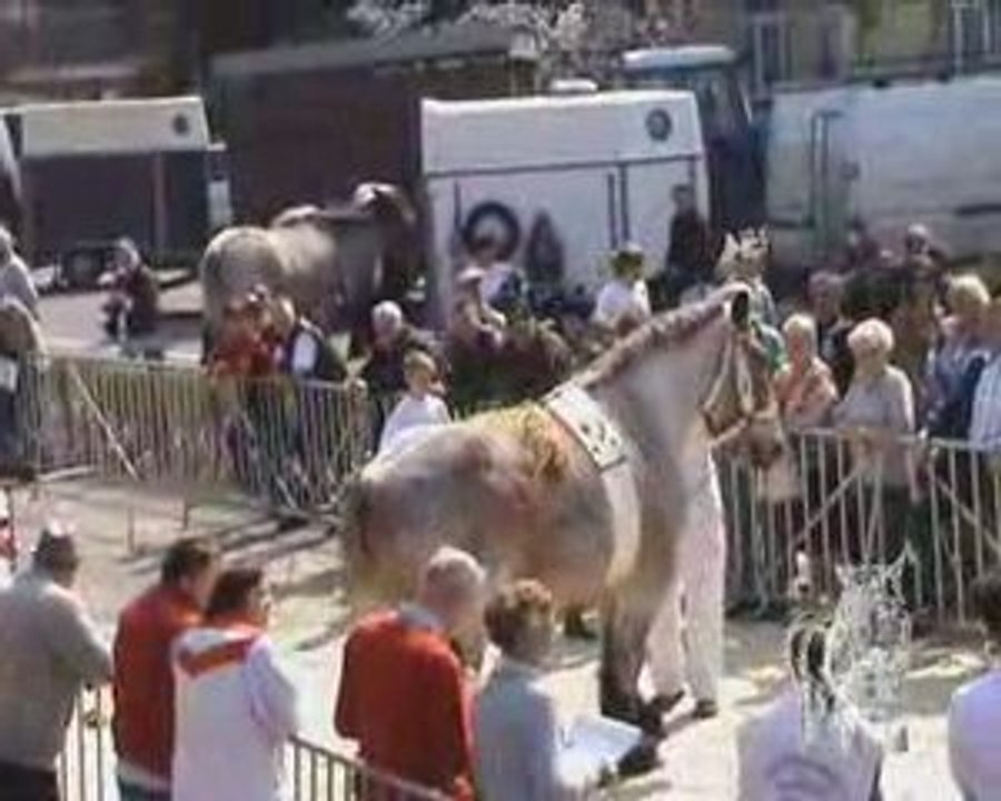 Keuring Evergem 2009