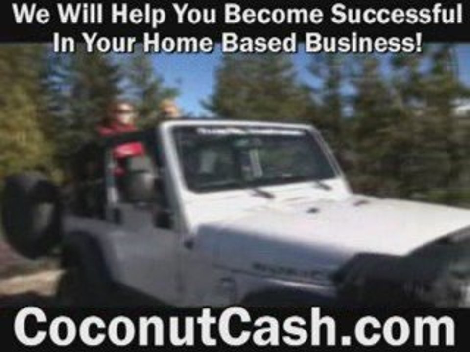 Zurvita Marketing System