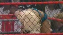 Lockdown 2009 pt.8 Awesome Kong vs Angelina Love vs Wilde