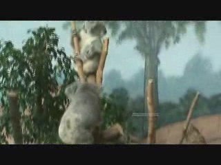 Koala Encounter: Sweet Moments Turn Surprising 🐨