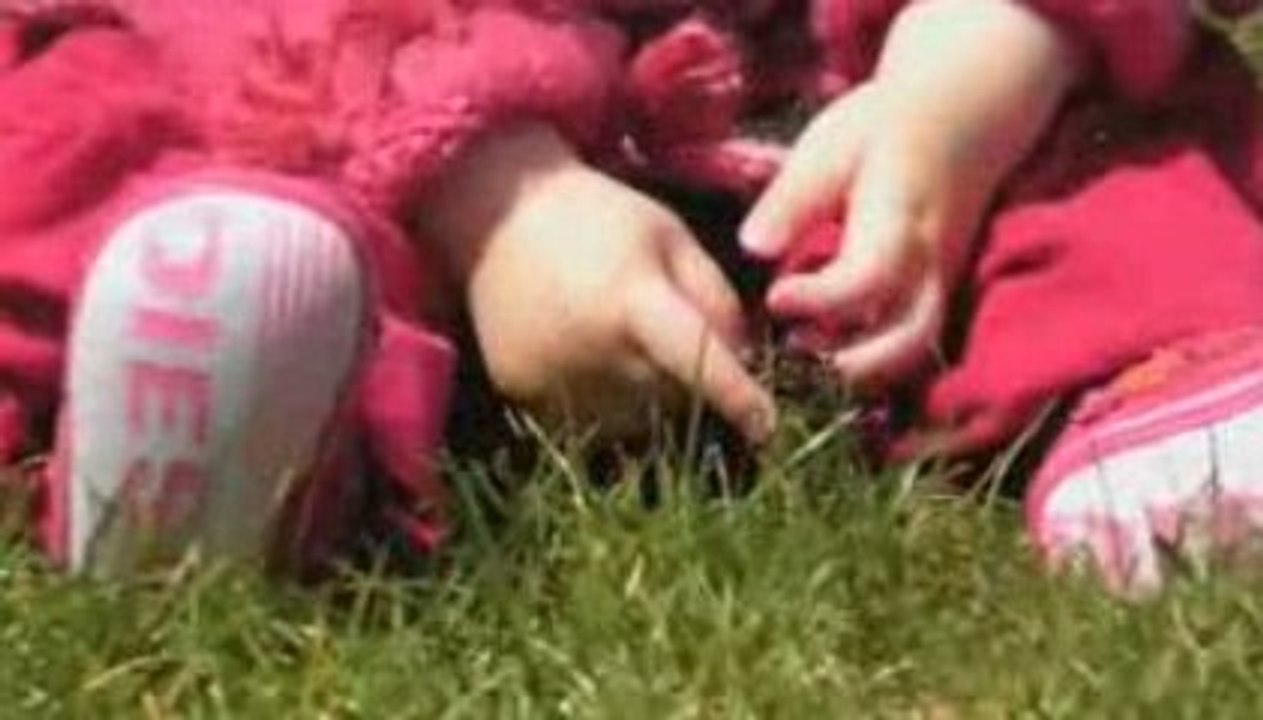 Quatre pattes dans le parc...