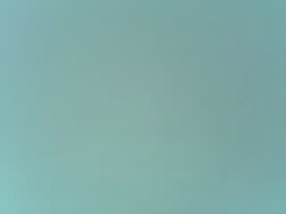 featuring stephy et scoop le rap a l'etat pur