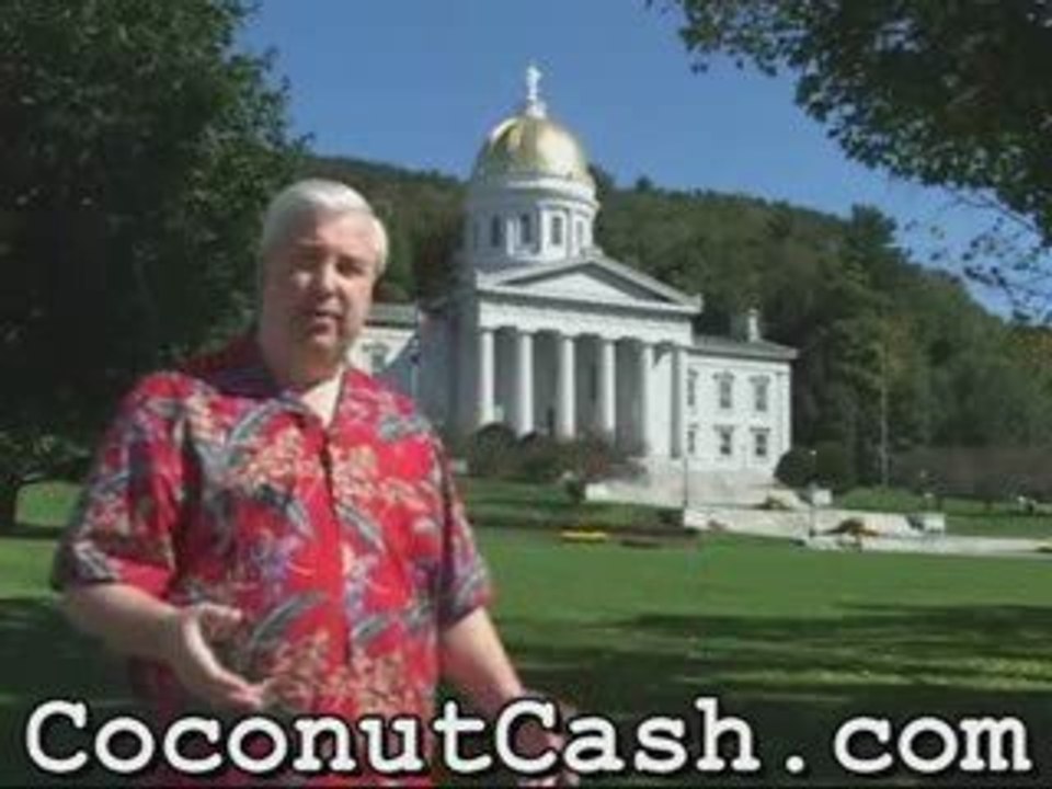 Successful Network Marketing With Zurvita