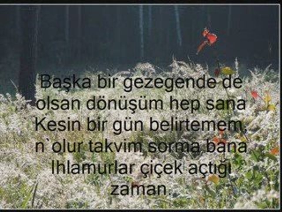 Ihlamurlar çiçek açtığı zaman