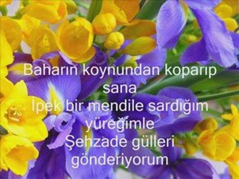 Siyah gözlerine beni de götür